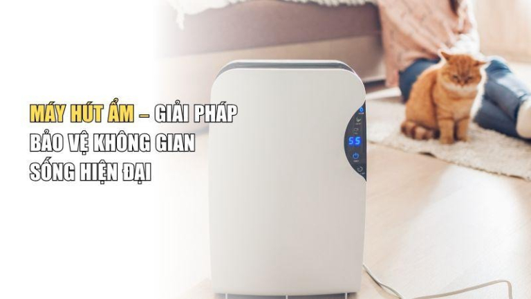 Máy Hút Ẩm – Giải Pháp Bảo Vệ Không Gian Sống Hiện Đại